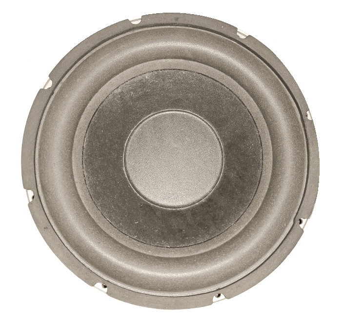 BASS MASTERS 12 Zoll 300W